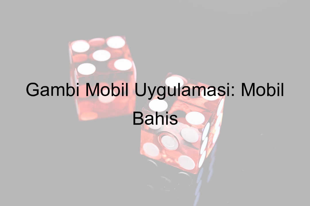 Gambi mobil uygulama